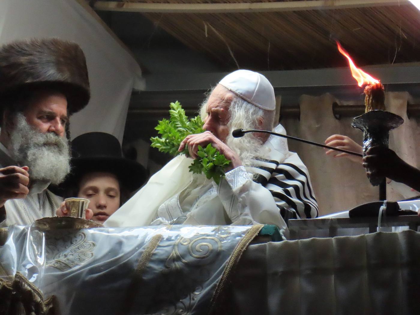 סיקור יו"ט ראשון של סוכות בצילו של מורינו הרב שליט"א