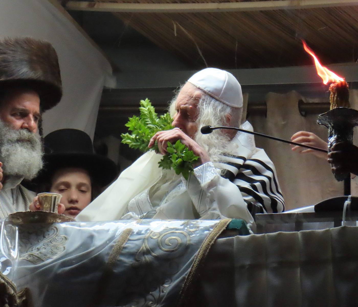 סיקור יו"ט ראשון של סוכות בצילו של מורינו הרב שליט"א