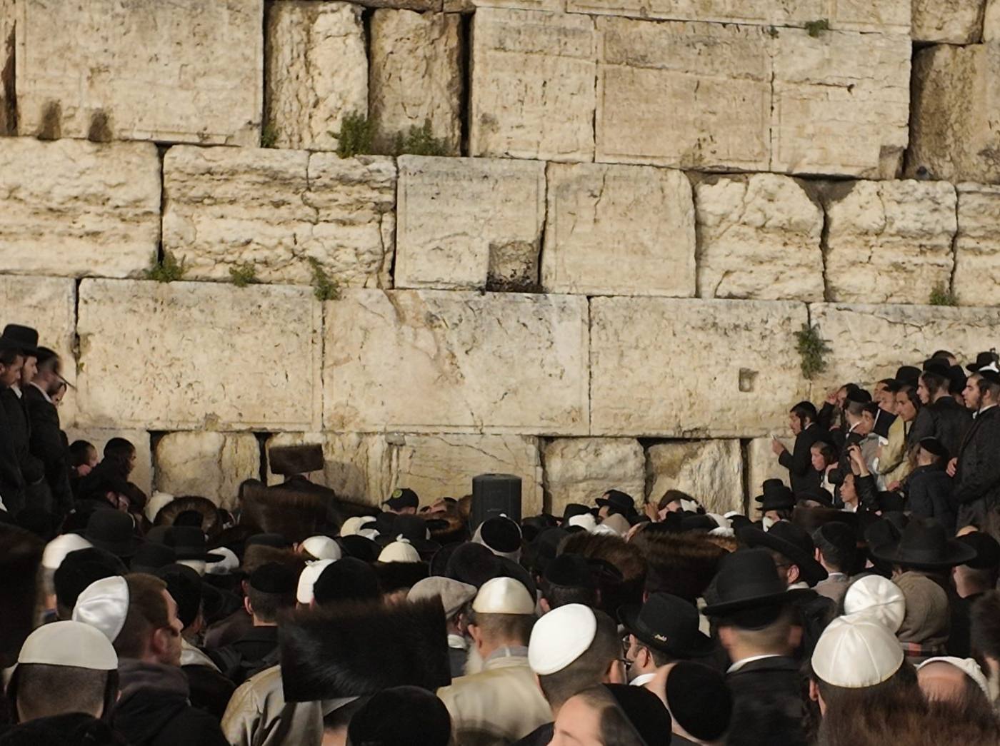 מורינו הרב שליט"א בקיום מצוות עליה לרגל בחג המצות